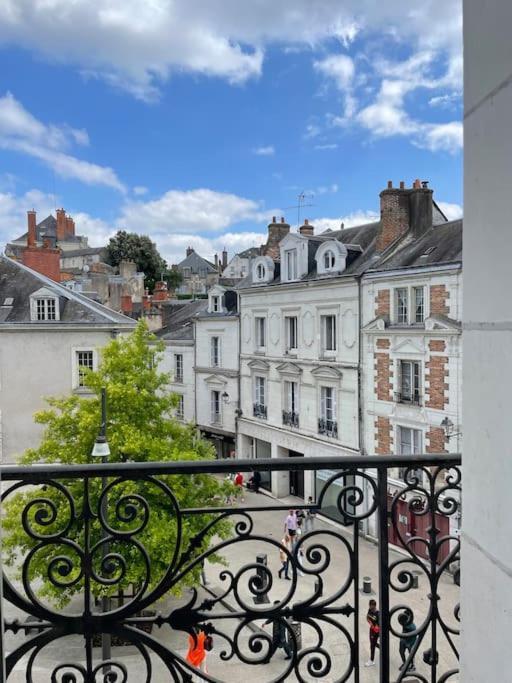 ~Rosa Bonheur~Hyper Centre Apartman Blois Kültér fotó