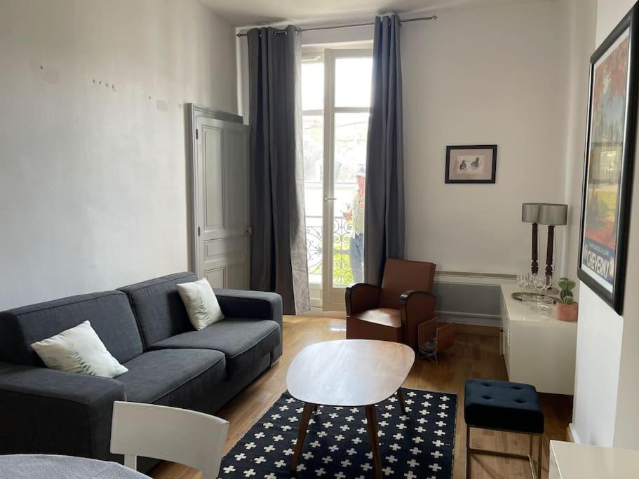 ~Rosa Bonheur~Hyper Centre Apartman Blois Kültér fotó
