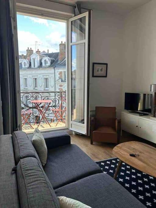 ~Rosa Bonheur~Hyper Centre Apartman Blois Kültér fotó